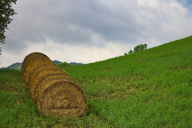 הורדה חינם Hay Bales Agriculture - תמונה או תמונה בחינם לעריכה עם עורך התמונות המקוון GIMP