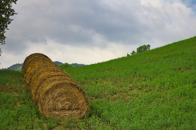 Free download Hay Bales Agriculture -  free photo or picture to be edited with GIMP online image editor