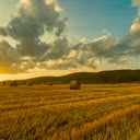 Hay Bales at Sunset  screen for extension Chrome web store in OffiDocs Chromium