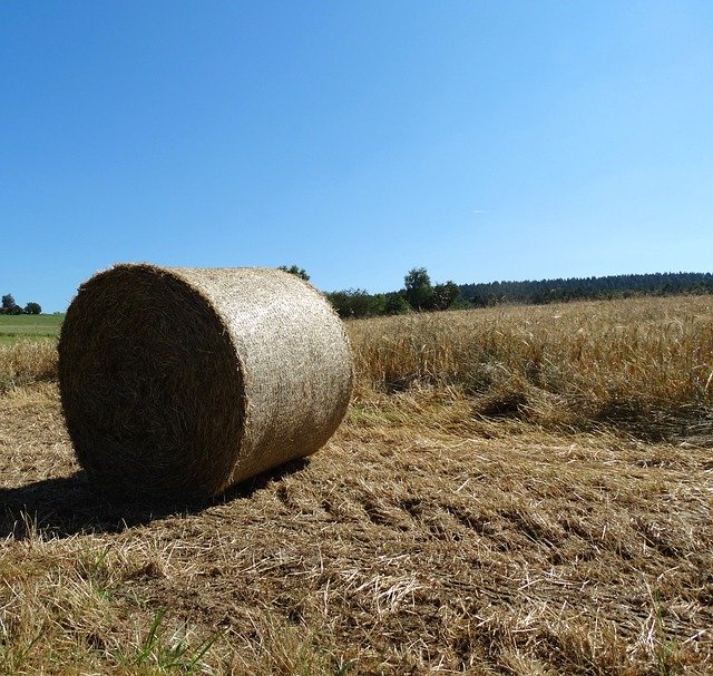 Free download Hay Bales Bale Agriculture Straw -  free photo or picture to be edited with GIMP online image editor