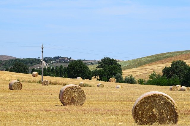 Unduh gratis Hay Bales Fields Sky - foto atau gambar gratis untuk diedit dengan editor gambar online GIMP