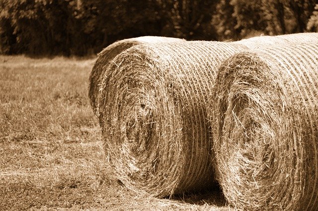 Free download Hay Bales Landscape -  free photo or picture to be edited with GIMP online image editor