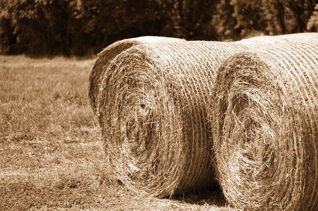 Download gratuito Hay Bales Landscape - foto o immagine gratuita da modificare con l'editor di immagini online di GIMP