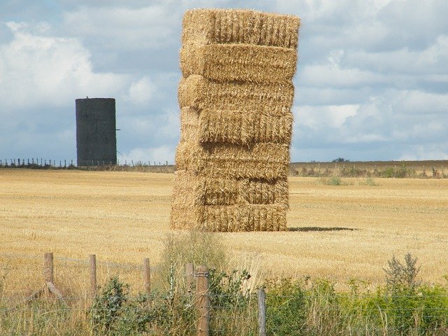 Gratis download Hay Harvest Agriculture - gratis foto of afbeelding om te bewerken met GIMP online afbeeldingseditor