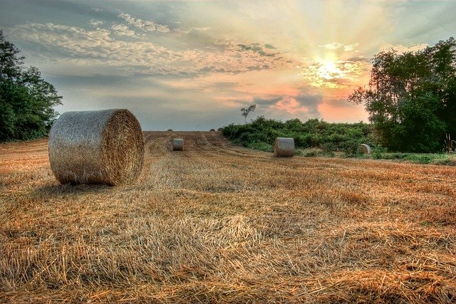 Free download hay hay bales straw field free picture to be edited with GIMP free online image editor