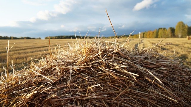 Безкоштовно завантажте Hay Landscape Sky – безкоштовну фотографію чи зображення для редагування за допомогою онлайн-редактора зображень GIMP