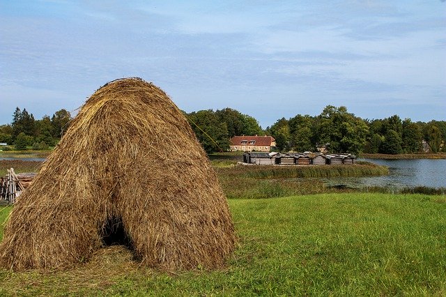 Unduh gratis Hay Meadow Autumn Baltic - foto atau gambar gratis untuk diedit dengan editor gambar online GIMP