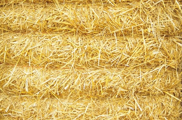 Free picture Hay Straw Bale -  to be edited by GIMP free image editor by OffiDocs