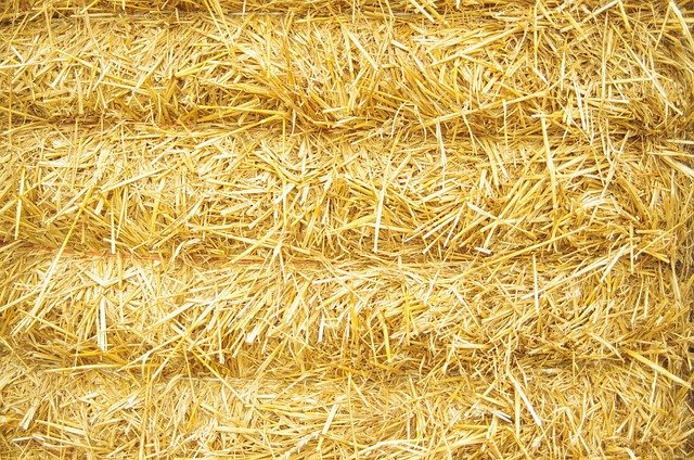 Free download Hay Straw Bale -  free photo or picture to be edited with GIMP online image editor