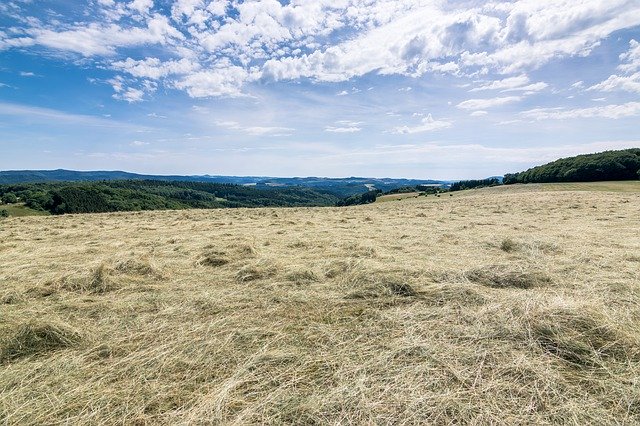 Descărcare gratuită Hay Summer Field - fotografie sau imagine gratuită pentru a fi editată cu editorul de imagini online GIMP