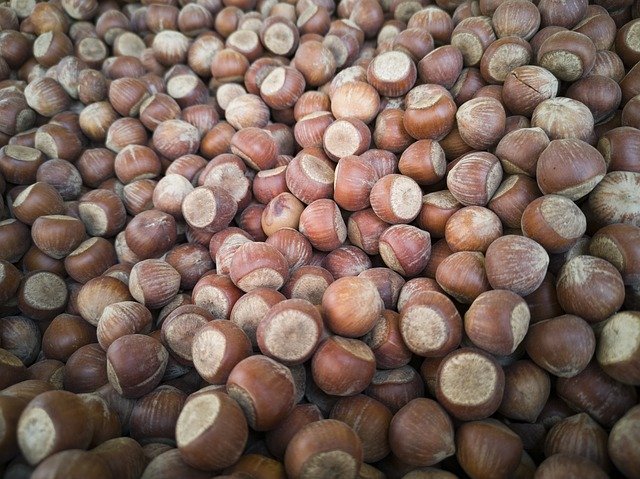 Free download Hazelnut Dried Fruits And Nuts -  free photo or picture to be edited with GIMP online image editor