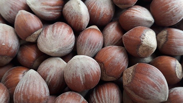 Descarga gratuita Hazelnut Food Nature: foto o imagen gratuita para editar con el editor de imágenes en línea GIMP