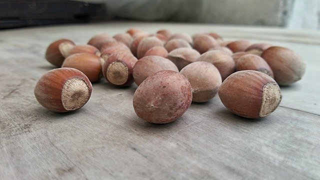 Free download Hazelnuts Dried Fruit Hazel -  free photo or picture to be edited with GIMP online image editor