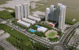 Free download hd-mon free photo or picture to be edited with GIMP online image editor