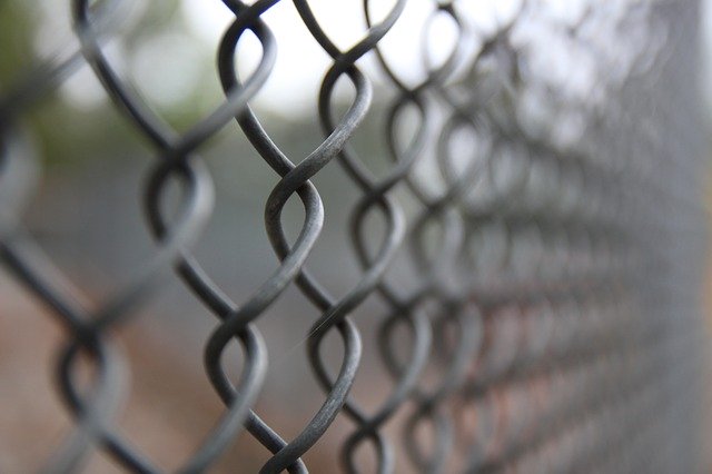 Free download Hd Texture Wallpaper -  free photo or picture to be edited with GIMP online image editor