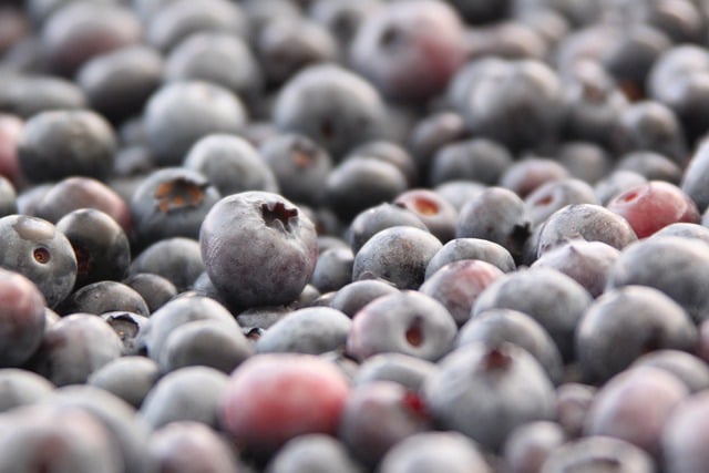Free download hd wallpaper blueberry fruit food free picture to be edited with GIMP free online image editor