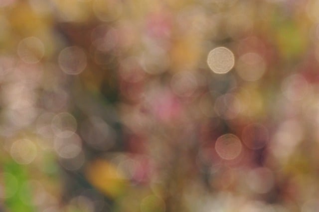 Free download hd wallpaper bokeh blurred free picture to be edited with GIMP free online image editor