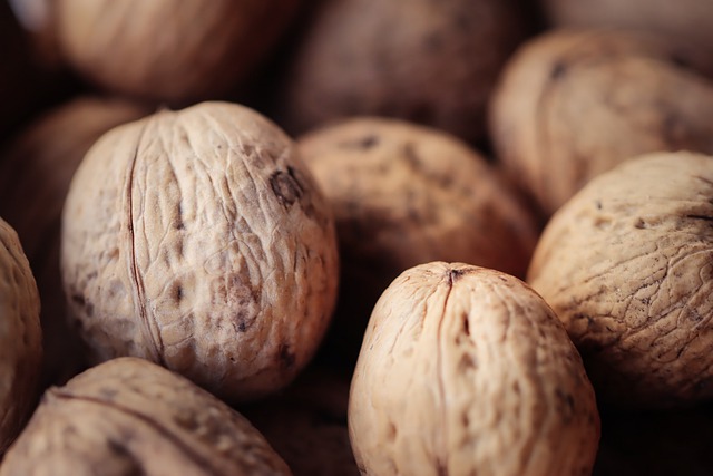Free download hd wallpaper hazelnuts nuts organic free picture to be edited with GIMP free online image editor