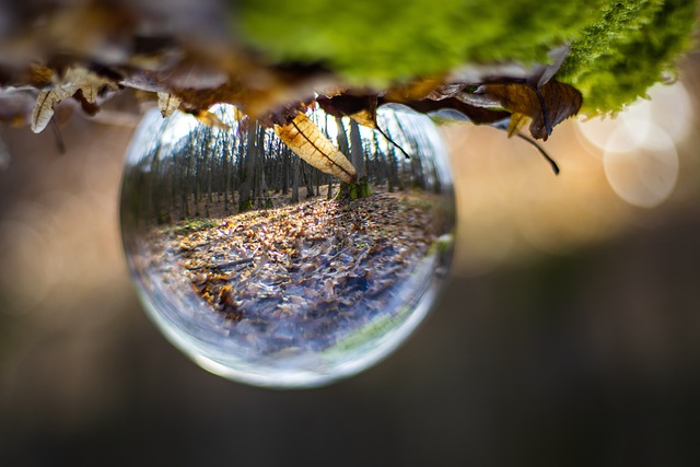 Free download hd wallpaper lens ball glass ball free picture to be edited with GIMP free online image editor