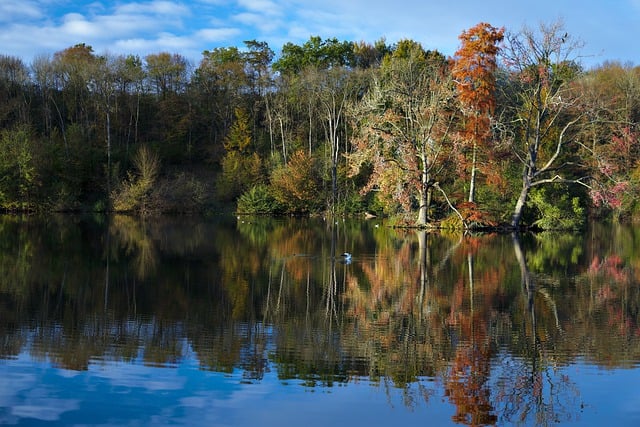 Free download hd wallpaper nature wallpaper pond free picture to be edited with GIMP free online image editor