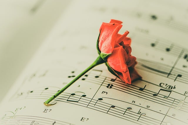 Безкоштовно завантажте HD-шпалери червона троянда романтична безкоштовна картинка для редагування за допомогою безкоштовного онлайн-редактора зображень GIMP