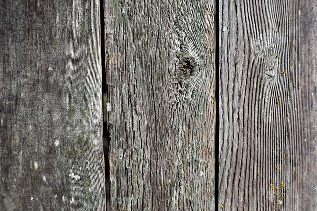 Free download hd wallpaper wood wall texture free picture to be edited with GIMP free online image editor