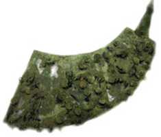 Free download Headdress Fragment free photo or picture to be edited with GIMP online image editor