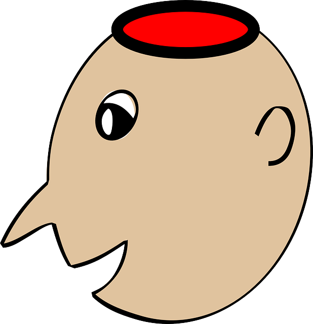 Free download Head Face Circle - Free vector graphic on Pixabay free illustration to be edited with GIMP free online image editor