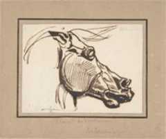 Free download Head of a Horse, after the Parthenon free photo or picture to be edited with GIMP online image editor