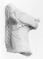 Free download Head of a horse free photo or picture to be edited with GIMP online image editor