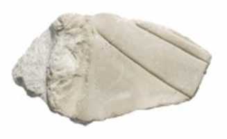 Free download Head of Akhenaten or Nefertiti free photo or picture to be edited with GIMP online image editor