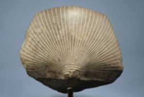 Head of a King, Possibly Seankhkare Mentuhotep III GIMP online editor free Free download Head of a King, Possibly Seankhkare Mentuhotep III free photo or picture to be edited with GIMP online image editor