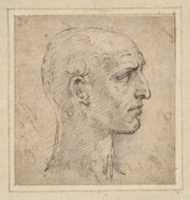 Free download Head of a Man in Profile to Right free photo or picture to be edited with GIMP online image editor