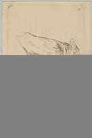 Free download Head of a man in profile wearing a tricorne free photo or picture to be edited with GIMP online image editor