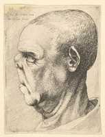 Free download Head of a Man with a Flattened Nose free photo or picture to be edited with GIMP online image editor
