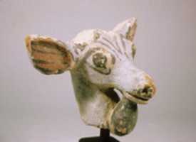Free download Head of ibex from shoulder of a vessel free photo or picture to be edited with GIMP online image editor