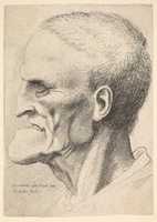 Free download Head of Old Man with Prominent Chin free photo or picture to be edited with GIMP online image editor
