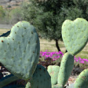 heart cactus  screen for extension Chrome web store in OffiDocs Chromium