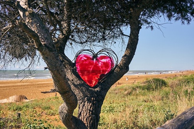 Free download Heart Decoration Tree -  free photo or picture to be edited with GIMP online image editor