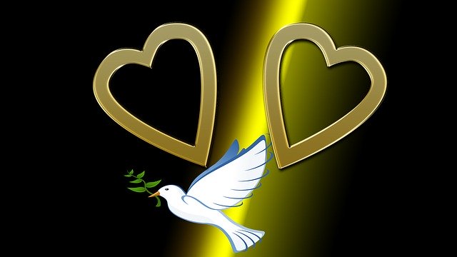 Free download Heart Dove Love -  free illustration to be edited with GIMP free online image editor