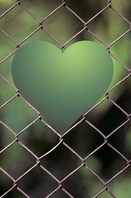 Free download Heart Fence Garden -  free illustration to be edited with GIMP free online image editor