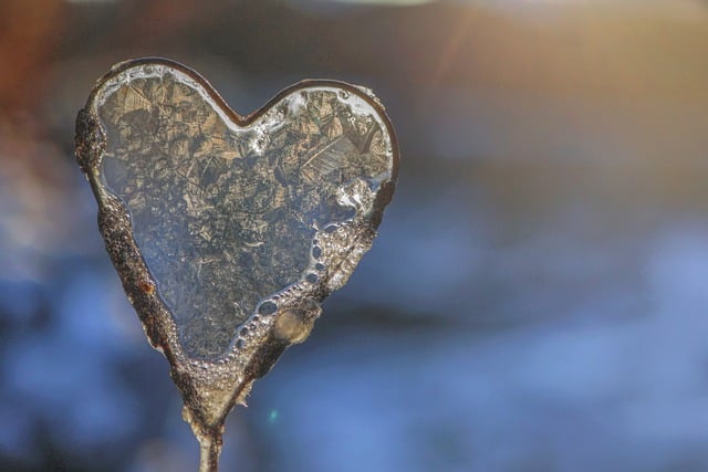 Free download heart frost winter frozen season free picture to be edited with GIMP free online image editor