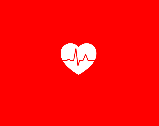 Free download Heart Health Icon -  free illustration to be edited with GIMP free online image editor