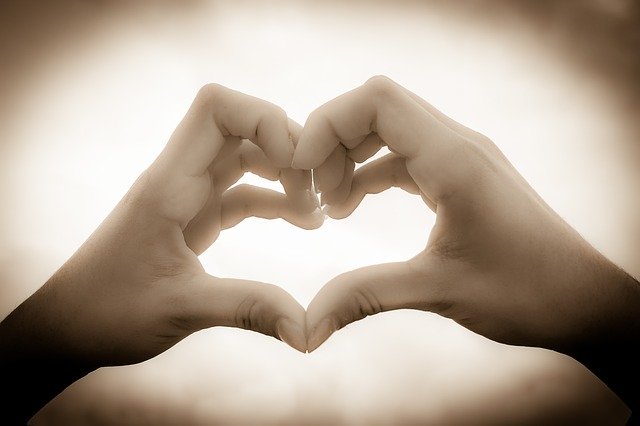 Free download Heart Love Hands -  free photo or picture to be edited with GIMP online image editor