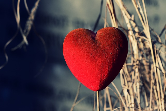 Free download heart love ornament tender free picture to be edited with GIMP free online image editor