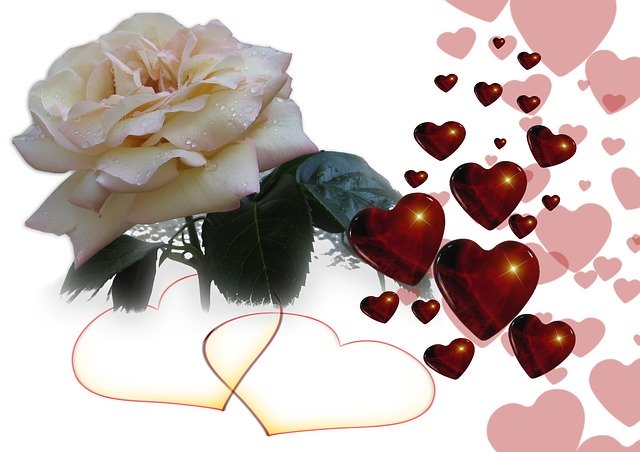 Free download Heart Love Rose -  free illustration to be edited with GIMP free online image editor