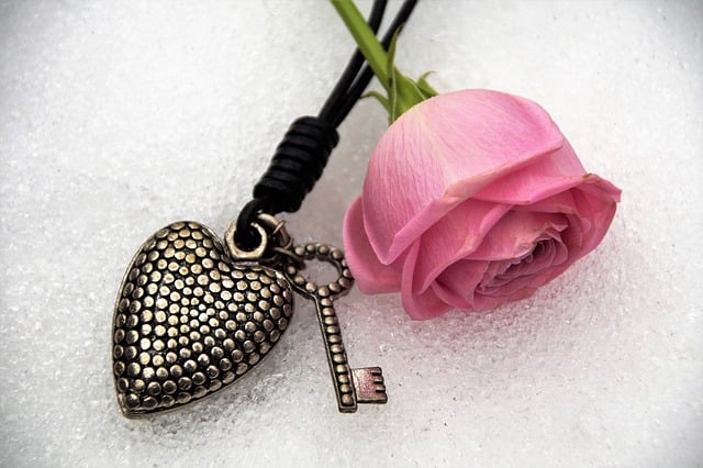 Free download heart metal cold ice winter love free picture to be edited with GIMP free online image editor