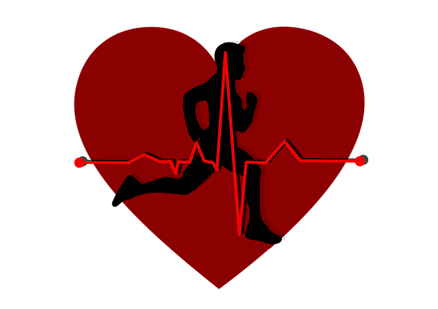 Free download Heart Pulse Circuit -  free illustration to be edited with GIMP free online image editor