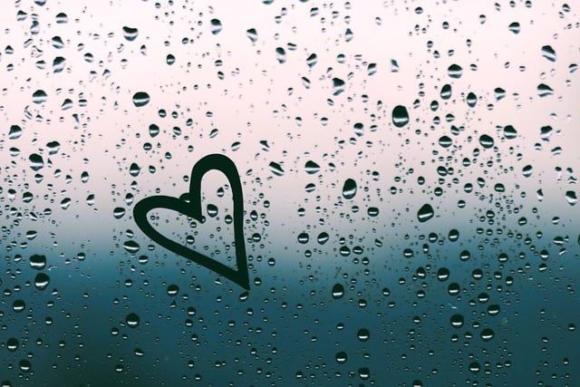 Bezpłatne pobieranie serca deszcz w miłości smutne krople darmowe zdjęcie do edycji za pomocą bezpłatnego edytora obrazów online GIMP