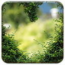 Heartscaping  screen for extension Chrome web store in OffiDocs Chromium Heartscaping  screen for extension Chrome web store in OffiDocs Chromium